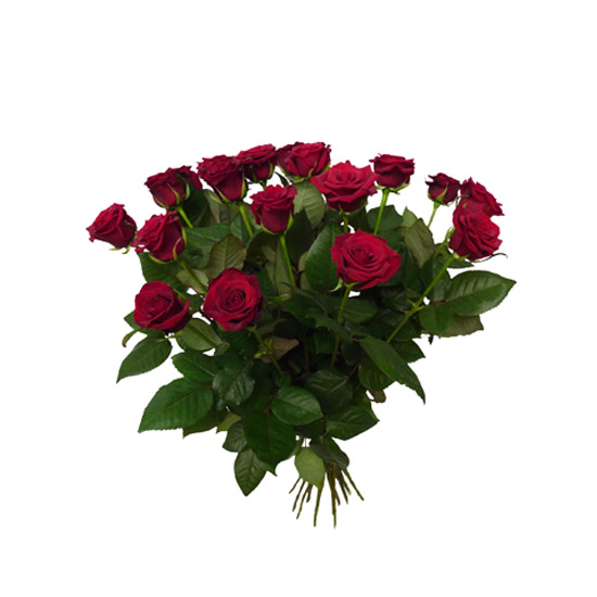 Bouquets de Fleurs: Bouquet de 20 roses Red Naomi 70cm