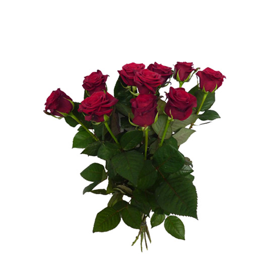 Bouquets de Fleurs: Bouquet de 10 roses Red Naomi 70cm