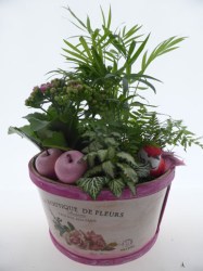 montage-plante-2