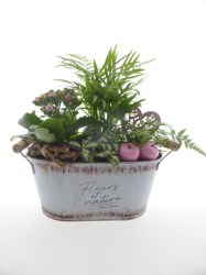 montage-plante-3