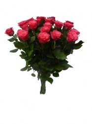 Bouquet_de__10_r_4f36c956abb34.jpg