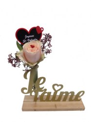 Aucune image 
