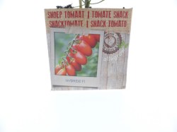 tomate-snack-2