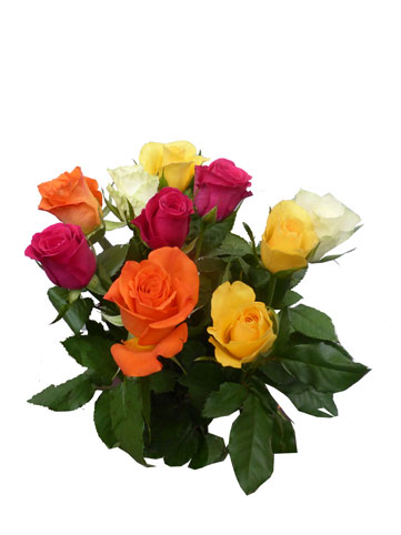 Bouquets de Fleurs: Bouquet de 10 roses multicolores 50cm